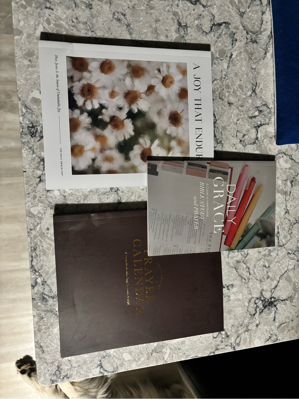 Daily Grace Co. Bible study, prayer calendar 2026, Bible study/prayer guide